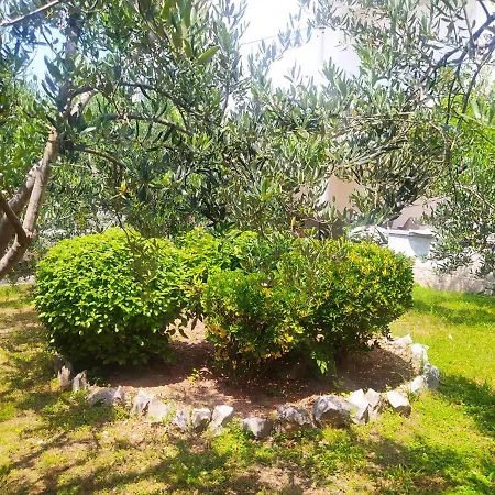 Trubi 2 Apartman