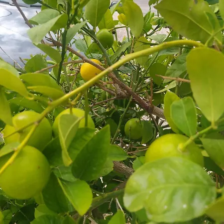 Trubi 2 Appartement *