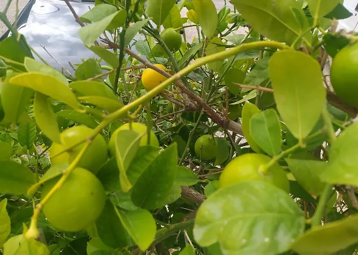 Trubi 2 Апартаменты *